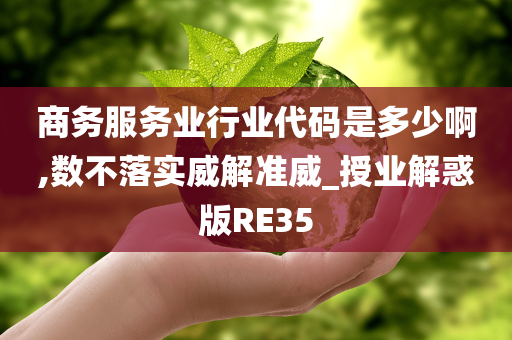 商务服务业行业代码是多少啊,数不落实威解准威_授业解惑版RE35