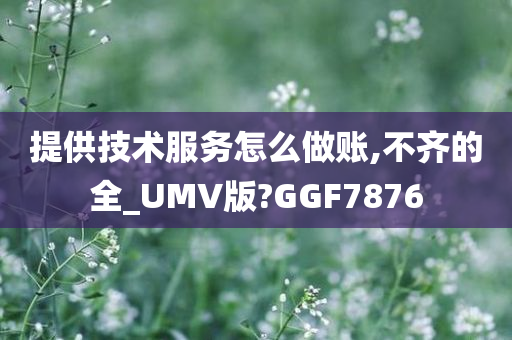 提供技术服务怎么做账,不齐的全_UMV版?GGF7876