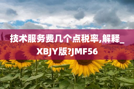 技术服务费几个点税率,解释_XBJY版?JMF56