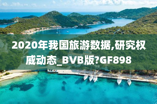 2020年我国旅游数据,研究权威动态_BVB版?GF898