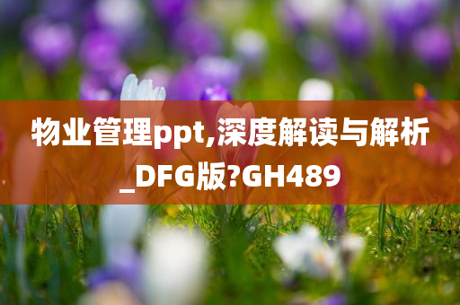 物业管理ppt,深度解读与解析_DFG版?GH489