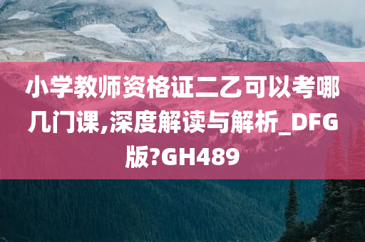 小学教师资格证二乙可以考哪几门课,深度解读与解析_DFG版?GH489