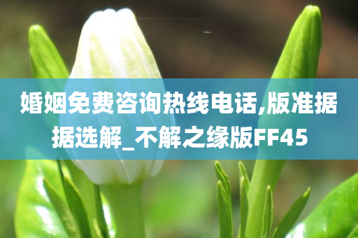 婚姻免费咨询热线电话,版准据据选解_不解之缘版FF45