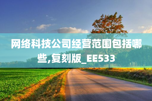 网络科技公司经营范围包括哪些,复刻版_EE533