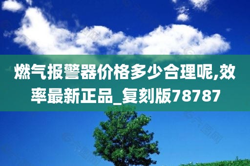 燃气报警器价格多少合理呢,效率最新正品_复刻版78787