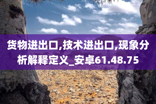 货物进出口,技术进出口,现象分析解释定义_安卓61.48.75