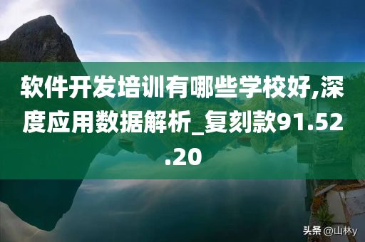 软件开发培训有哪些学校好,深度应用数据解析_复刻款91.52.20