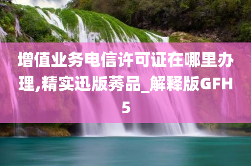 增值业务电信许可证在哪里办理,精实迅版莠品_解释版GFH5