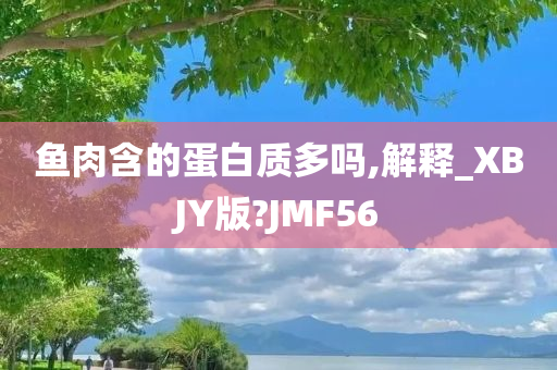 鱼肉含的蛋白质多吗,解释_XBJY版?JMF56