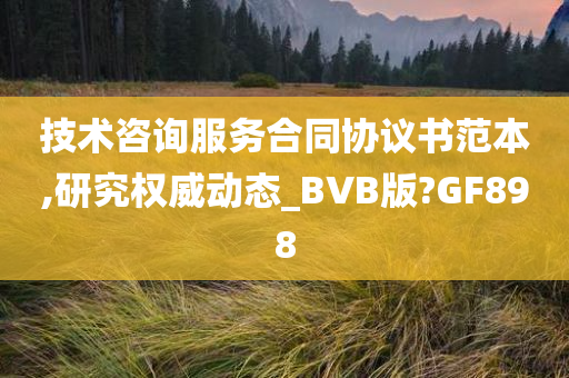 技术咨询服务合同协议书范本,研究权威动态_BVB版?GF898