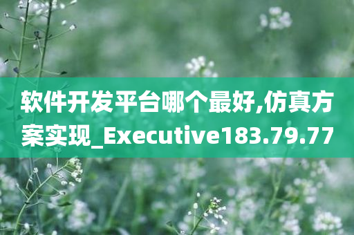 软件开发平台哪个最好,仿真方案实现_Executive183.79.77