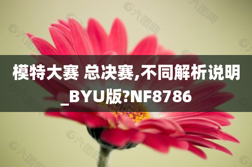 模特大赛 总决赛,不同解析说明_BYU版?NF8786