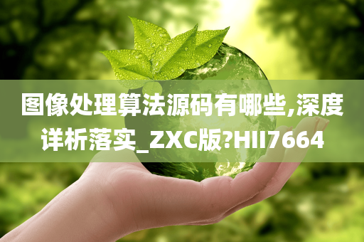 图像处理算法源码有哪些,深度详析落实_ZXC版?HII7664