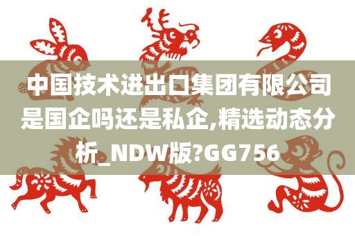 中国技术进出口集团有限公司是国企吗还是私企,精选动态分析_NDW版?GG756