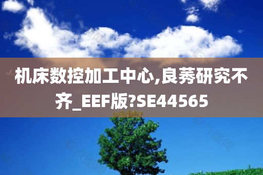 机床数控加工中心,良莠研究不齐_EEF版?SE44565