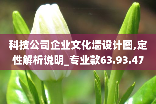 科技公司企业文化墙设计图,定性解析说明_专业款63.93.47