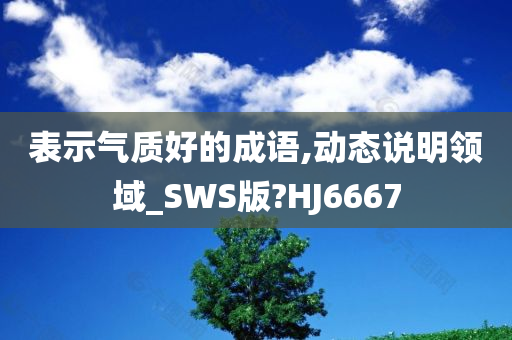 表示气质好的成语,动态说明领域_SWS版?HJ6667