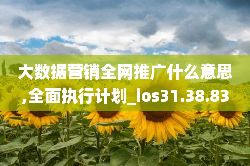 大数据营销全网推广什么意思,全面执行计划_ios31.38.83