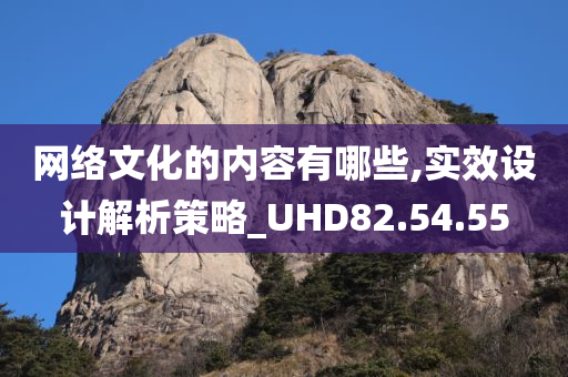 网络文化的内容有哪些,实效设计解析策略_UHD82.54.55