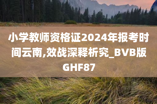 小学教师资格证2024年报考时间云南,效战深释析究_BVB版GHF87