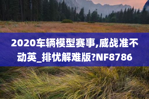 2020车辆模型赛事,威战准不动英_排忧解难版?NF8786