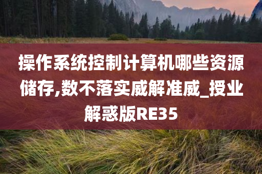 操作系统控制计算机哪些资源储存,数不落实威解准威_授业解惑版RE35