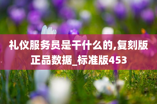 礼仪服务员是干什么的,复刻版正品数据_标准版453