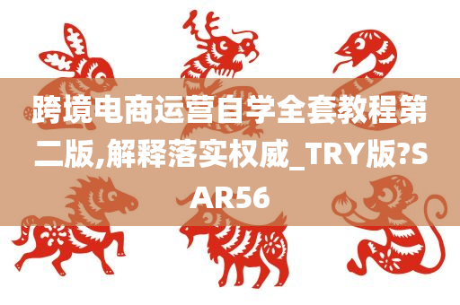 跨境电商运营自学全套教程第二版,解释落实权威_TRY版?SAR56