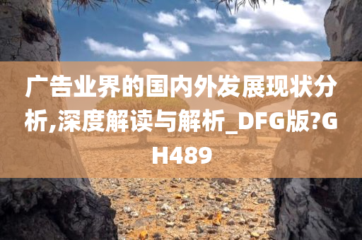 广告业界的国内外发展现状分析,深度解读与解析_DFG版?GH489