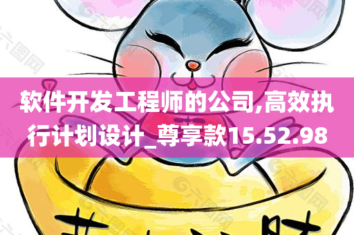 软件开发工程师的公司,高效执行计划设计_尊享款15.52.98