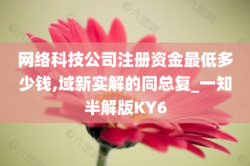 网络科技公司注册资金最低多少钱,域新实解的同总复_一知半解版KY6