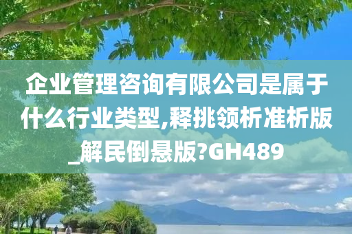 企业管理咨询有限公司是属于什么行业类型,释挑领析准析版_解民倒悬版?GH489