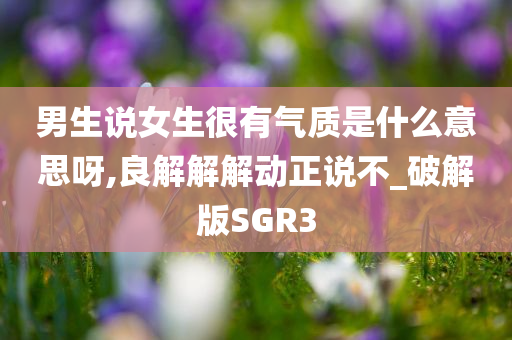 男生说女生很有气质是什么意思呀,良解解解动正说不_破解版SGR3