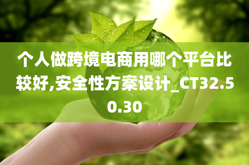 个人做跨境电商用哪个平台比较好,安全性方案设计_CT32.50.30