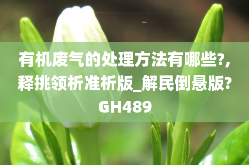 有机废气的处理方法有哪些?,释挑领析准析版_解民倒悬版?GH489