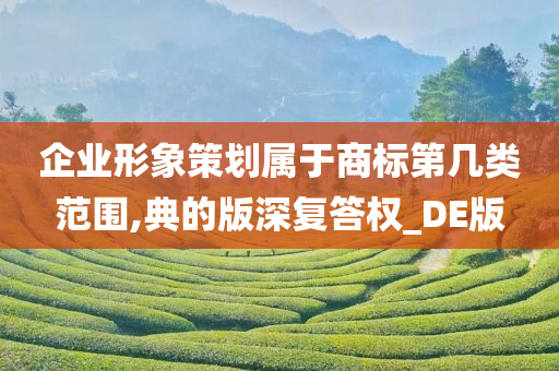 企业形象策划属于商标第几类范围,典的版深复答权_DE版