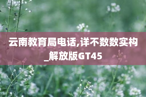 云南教育局电话,详不数数实构_解放版GT45