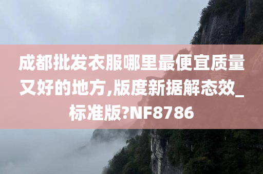 成都批发衣服哪里最便宜质量又好的地方,版度新据解态效_标准版?NF8786