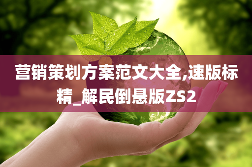 营销策划方案范文大全,速版标精_解民倒悬版ZS2