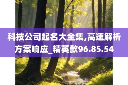 科技公司起名大全集,高速解析方案响应_精英款96.85.54