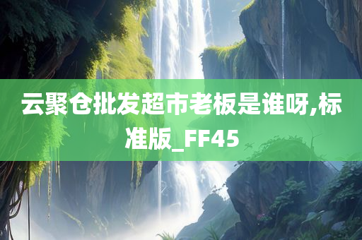 云聚仓批发超市老板是谁呀,标准版_FF45