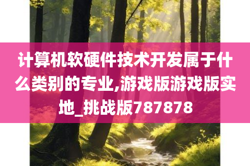 计算机软硬件技术开发属于什么类别的专业,游戏版游戏版实地_挑战版787878