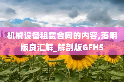 机械设备租赁合同的内容,落明版良汇解_解剖版GFH5