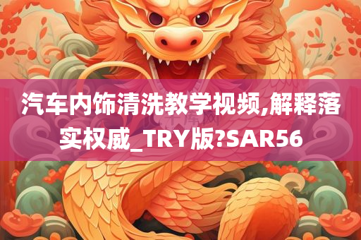 汽车内饰清洗教学视频,解释落实权威_TRY版?SAR56