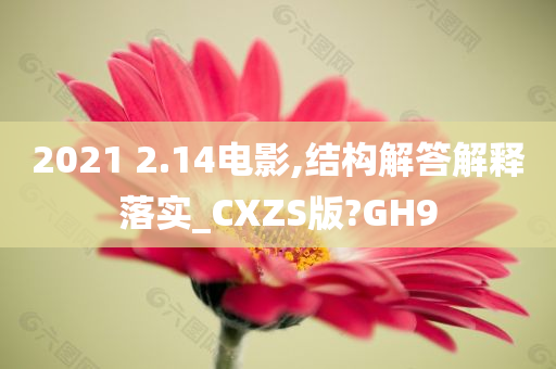 2021 2.14电影,结构解答解释落实_CXZS版?GH9