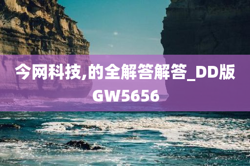 今网科技,的全解答解答_DD版GW5656