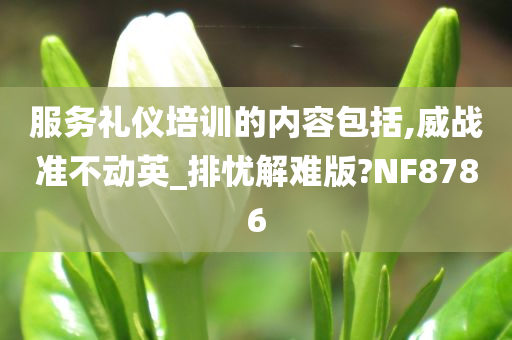 服务礼仪培训的内容包括,威战准不动英_排忧解难版?NF8786