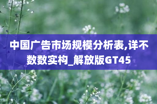 中国广告市场规模分析表,详不数数实构_解放版GT45