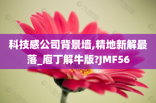 科技感公司背景墙,精地新解最落_庖丁解牛版?JMF56