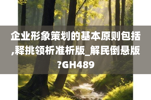 企业形象策划的基本原则包括,释挑领析准析版_解民倒悬版?GH489